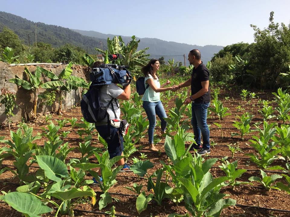 Grabación de "España Directo" en Puros Artesanos Julio · La Palma · Islas Canarias