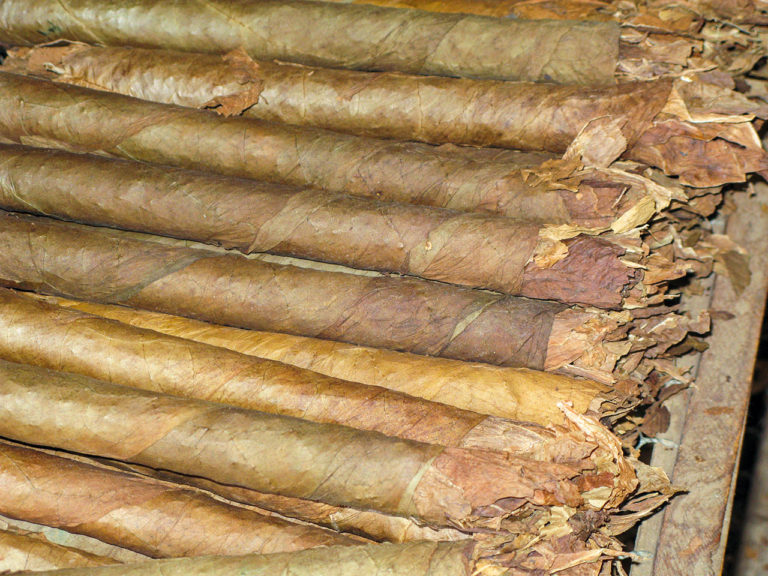 Rulos de tabaco en canas de cedro · Proceso de Elaboración Puros Artesanos Julio · Tabaco palmero Premium Hecho a mano en Breña Alta. La Palma. Islas Canarias