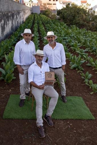 Ya tenemos plantación de tabaco abierta a nuestros visitantes, frente a nuestra tabaquería temática. - Puros Palmeros Artesanos Julio · Tabaco hecho a mano en Breña Alta · La Palma · Canarias