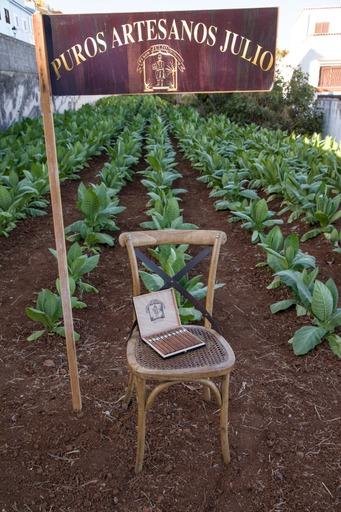 CAJA DE 5 ROBUSTOS · Puros Palmeros Artesanos Julio · Tabaco hecho a mano  en Breña Alta · La Palma · Canarias